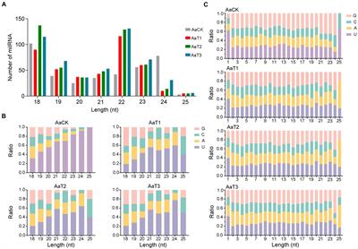 Transcriptional dynamics and regulatory function of milRNAs in Ascosphaera apis invading Apis mellifera larvae